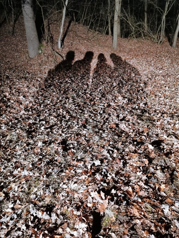 83489624_3634070269966588_4178251074399895552_o.jpg 83489624_3634070269966588_4178251074399895552_o.jpg